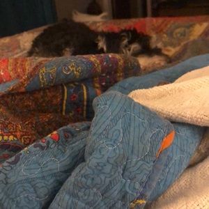 Meet your Posher, Jane